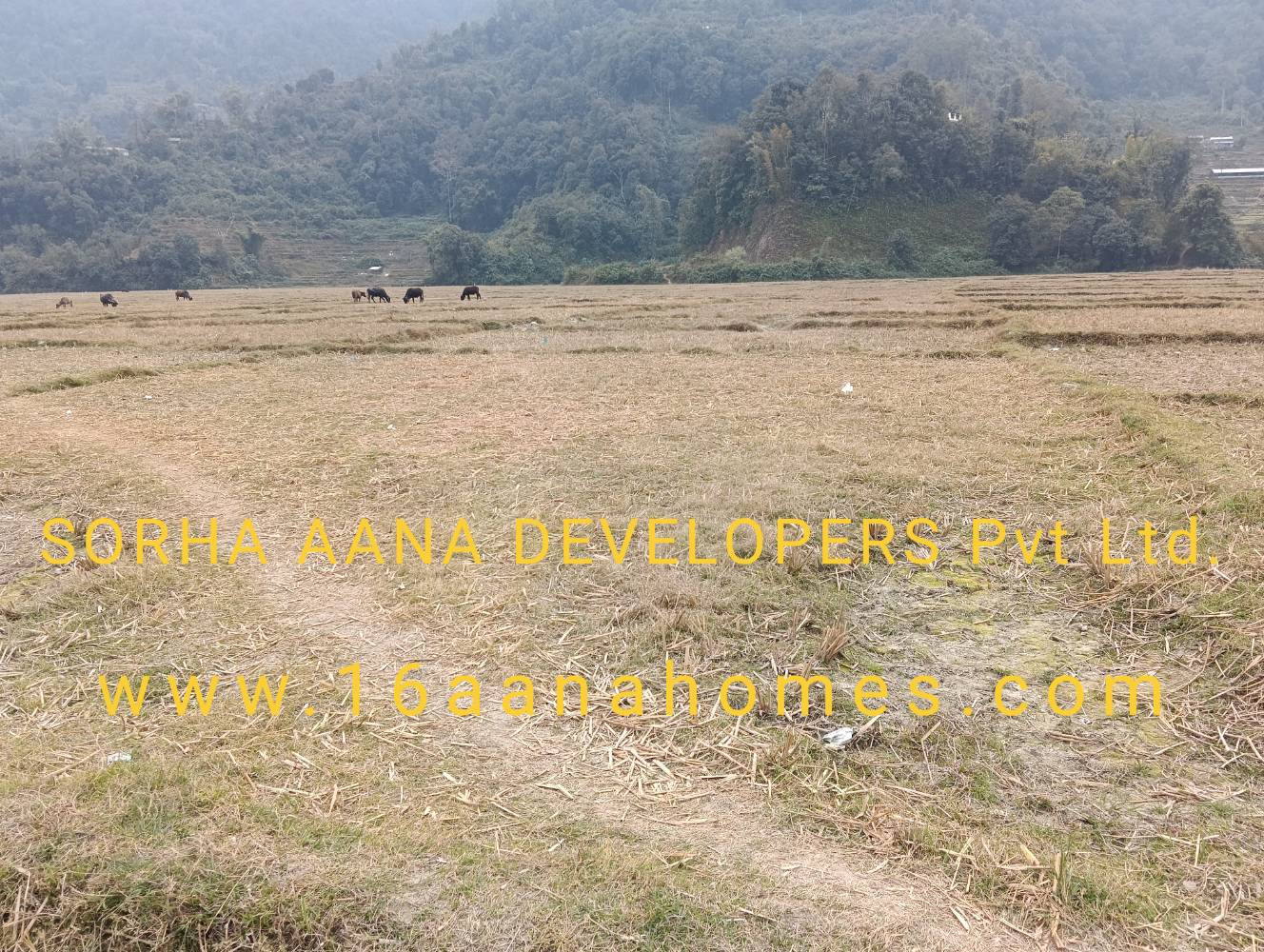 thumbnail of Land For Sale in Pokhara